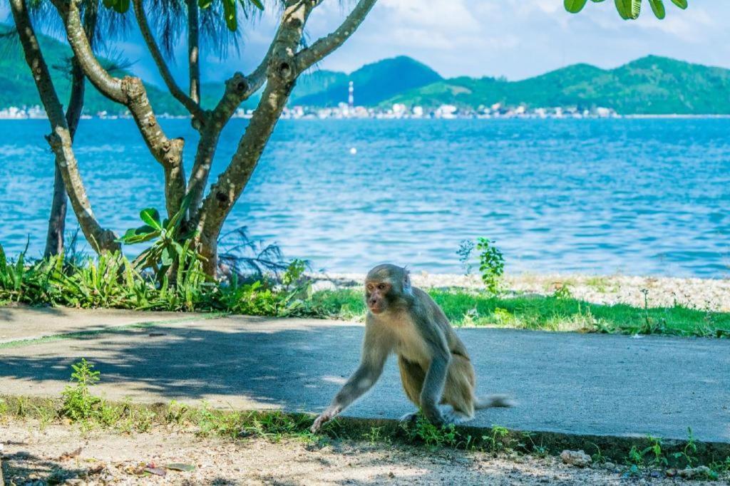 Truong Hotel Nha Trang Kültér fotó